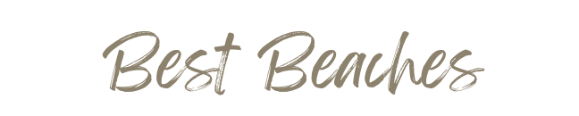 Screenshot 2025-06-19 at 2.22.06 PM